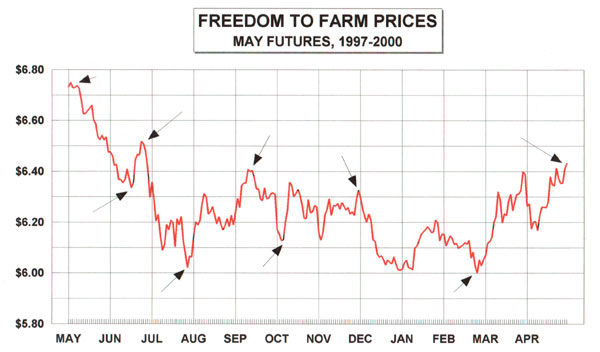 Corn Futures Price Chart